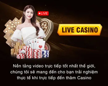 Hệ thống báo cáo minh bạch